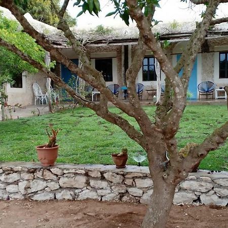 La Maison Essaouira Hotel Zewnętrze zdjęcie