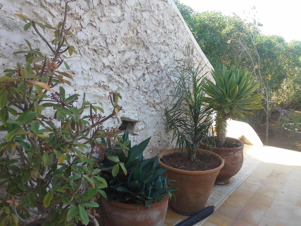 La Maison Essaouira Hotel Zewnętrze zdjęcie