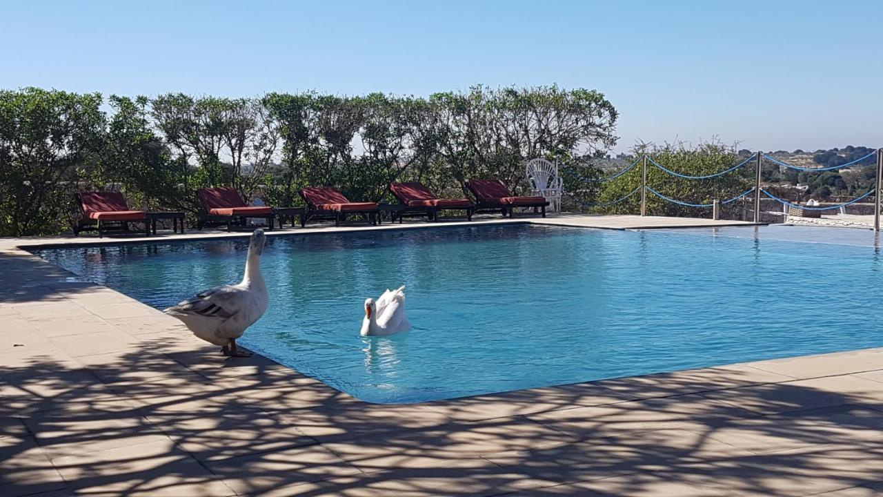 La Maison Essaouira Hotel Zewnętrze zdjęcie
